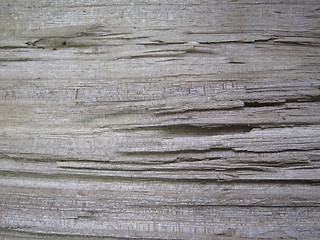 Image showing texture