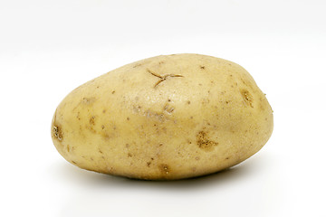 Image showing Potato