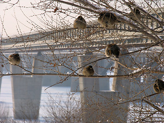 Image showing Subway bridge over river Ob