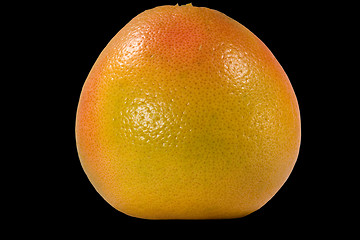 Image showing Grapefruit isolated on black background with clipping path