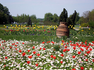 Image showing Spring in the parc