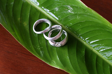 Image showing Rings