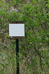 Image showing Blank Sign In The Forest