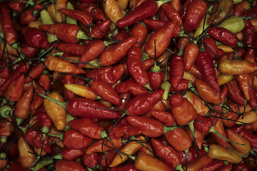 Image showing Chilli