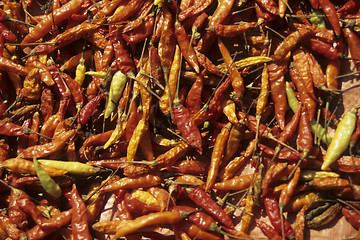 Image showing Chilli