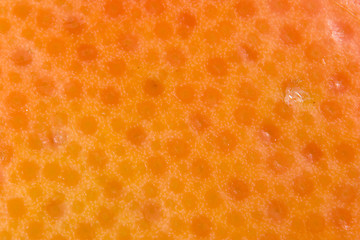 Image showing Texture of grapefruit skin