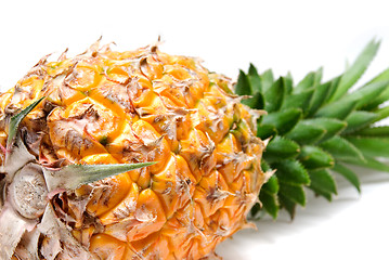 Image showing pineapple