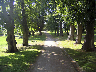 Image showing A walk in the park