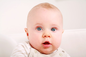 Image showing Adorable newborn portrait