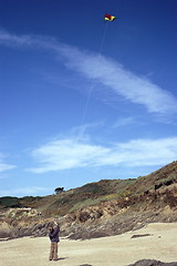 Image showing Kite-1