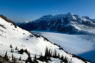 Image showing Salmon glacier