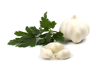 Image showing garlics with parsley