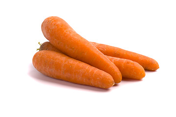 Image showing fresh carrots