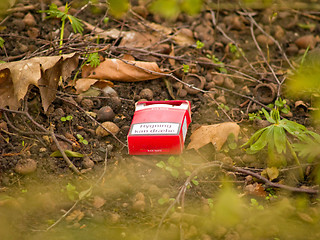 Image showing Environmental awarness - Empty cigarette pack in bushes