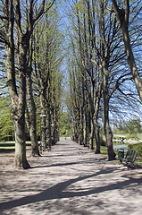 Image showing allee