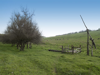 Image showing Spring countryside