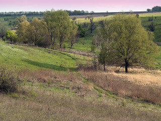 Image showing Spring countryside