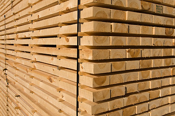 Image showing Lumber and timber