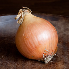 Image showing Onion