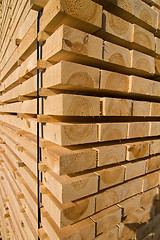 Image showing Lumber and timber