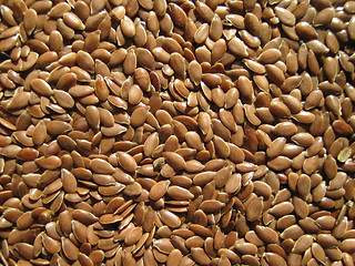 Image showing  seed