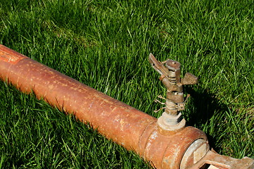 Image showing Sprinkler