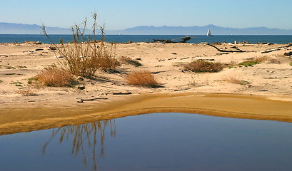 Image showing Water By The Ocean