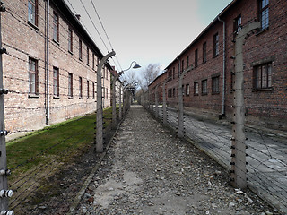Image showing Auschwitz camp, Poland