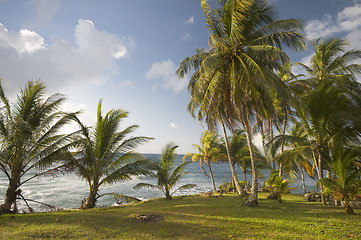 Image showing tropical landscape