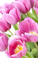 Image showing Pink tulips