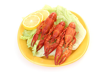 Image showing crawfish