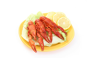 Image showing crawfish