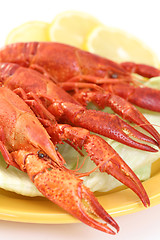 Image showing crawfish