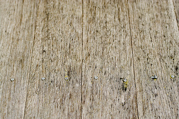 Image showing old grungy wood background texture