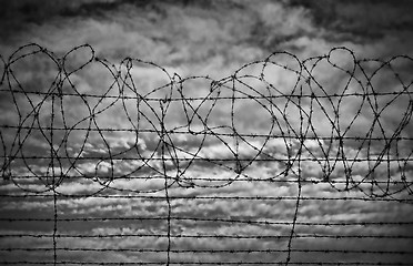 Image showing restrictions barbed wire black and white