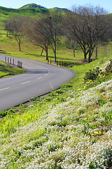 Image showing Scenic Road In Park