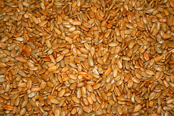 Image showing Sunflower Seeds