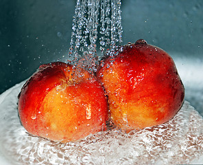 Image showing Washing peaches