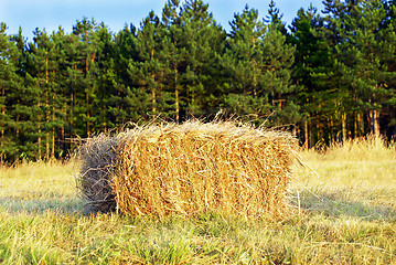 Image showing Wafer of hay