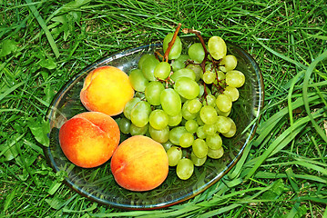 Image showing Peach and green grapes in grass