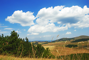 Image showing Rural landscape