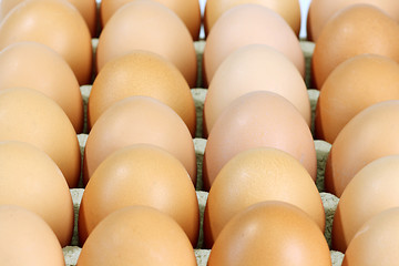 Image showing Brown eggs