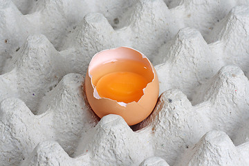 Image showing Fresh eggs