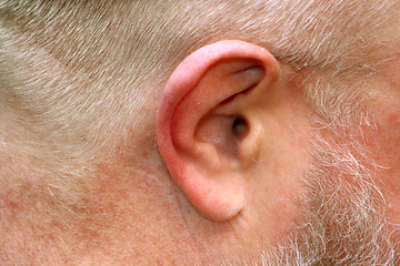 Image showing Human ear