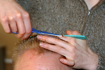 Image showing Hair cutting