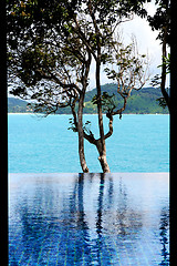 Image showing Infinity swimming pool 