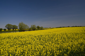 Image showing spring