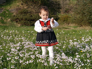 Image showing standing in grass