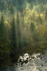 Image showing Mountain stream