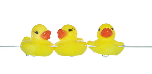 Image showing rubber ducks